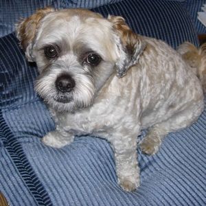 Meet your Posher, Norma